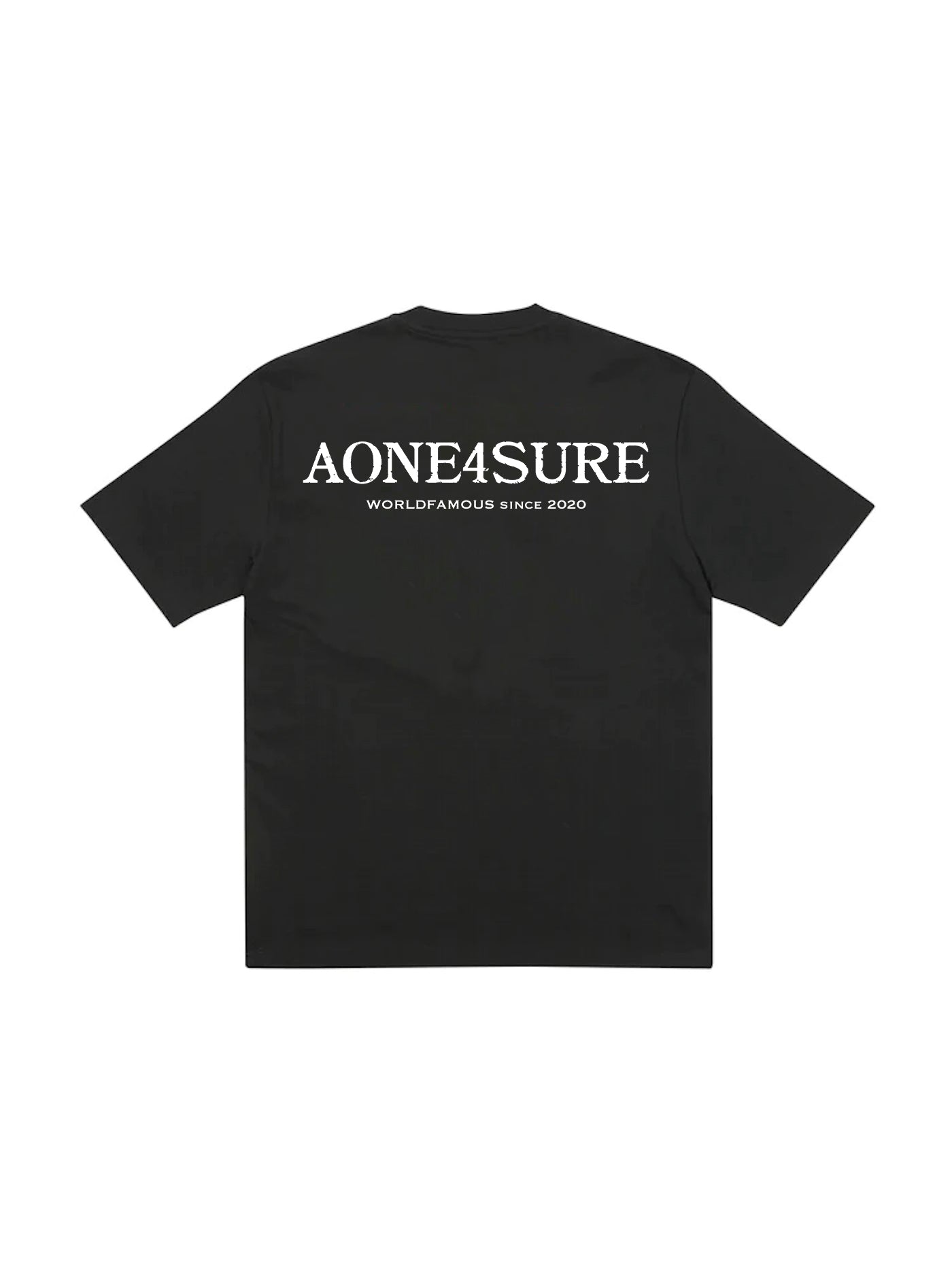 AONE4SURE Dino Crisis T-Shirt